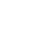 Juniper Logo White (1)